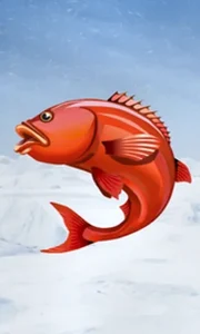 Ice Fishing